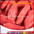 2016 Drachenfrucht Bio Goji Wolfberry und Goji Beere Ningxia Goji